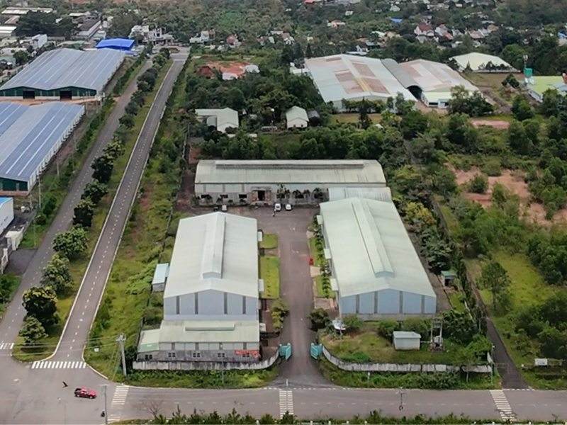 Chuyến thăm nhà máy gia công trà