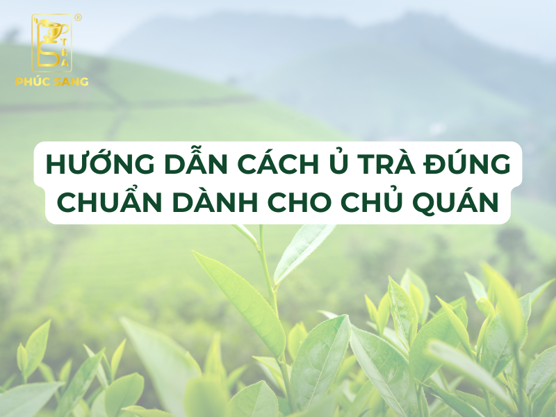 Hướng Dẫn Cách Ủ Trà Đúng Chuẩn Dành Cho Chủ Quán Hướng Dẫn Cách Ủ Trà Đúng Chuẩn Dành Cho Chủ Quán