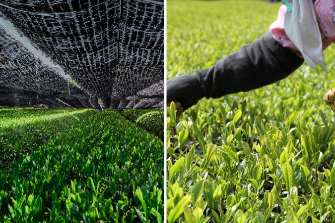 Chỉn Chu Trong Từng Giai Đoạn​