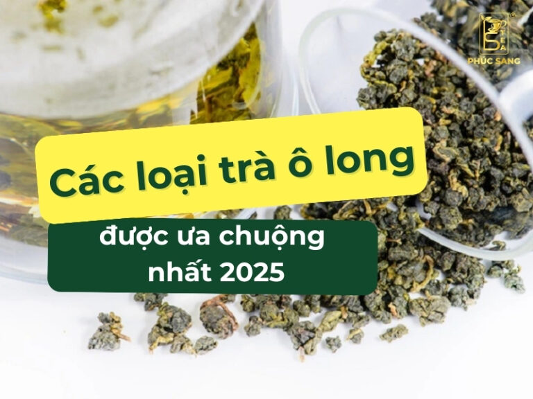 Review chi tiết Top các loại trà ô long được ưa chuộng nhất năm 2025