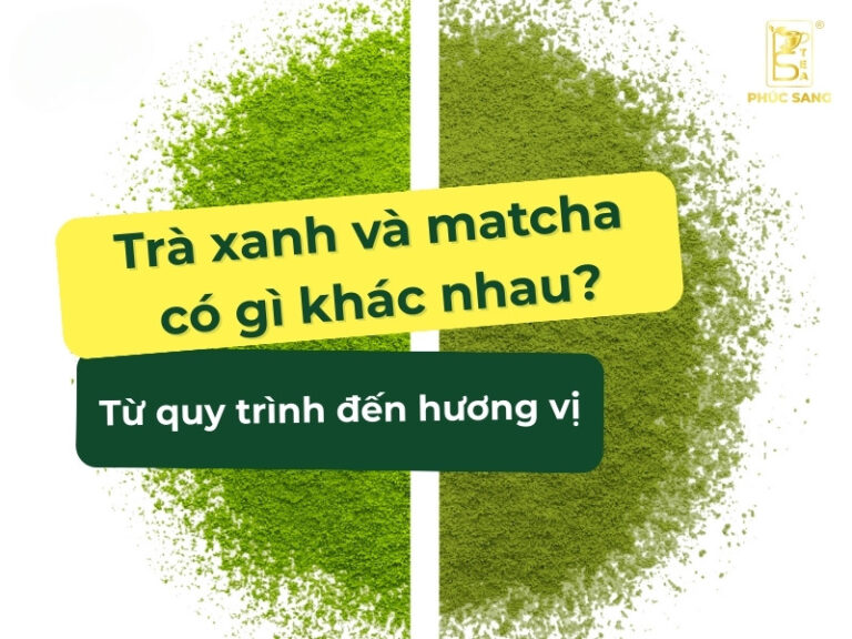 Trà xanh và matcha có gì khác nhau? Từ quy trình đến hương vị