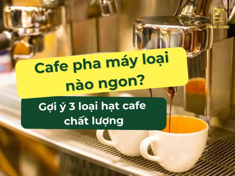 Cafe pha máy loại nào ngon?