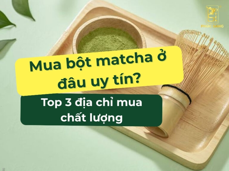 Nên mua bột matcha ở đâu để đảm bảo chất lượng? Top 3 địa chỉ uy tín bạn nên biết.
