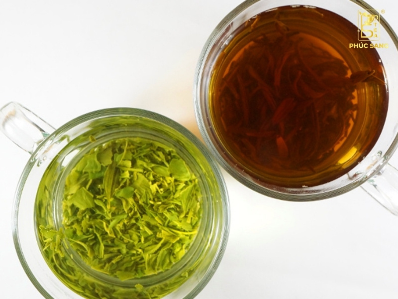 Kinh doanh F&B nên chọn trà đen hay trà xanh Kinh doanh F&B nên chọn trà đen hay trà xanh