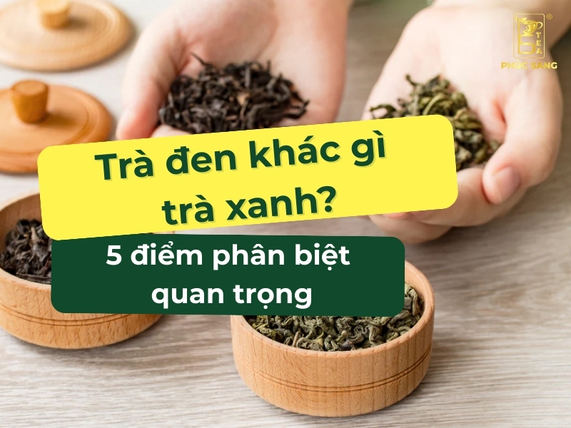 Trà đen vs trà xanh: 5 điểm khác biệt quyết định cách bạn chọn nguyên liệu Trà đen vs trà xanh: 5 điểm khác biệt quyết định cách bạn chọn nguyên liệu