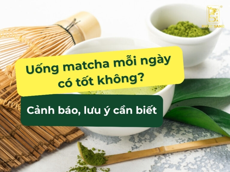 Uống matcha mỗi ngày có tốt không?