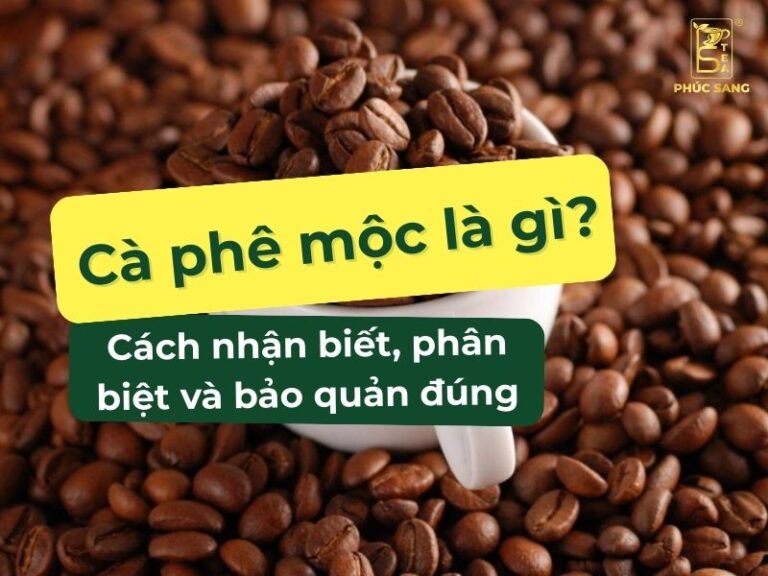 C&agrave; ph&ecirc; mộc l&agrave; g&igrave;? Quy tr&igrave;nh sản xuất v&agrave; bảo quản đ&uacute;ng c&aacute;ch