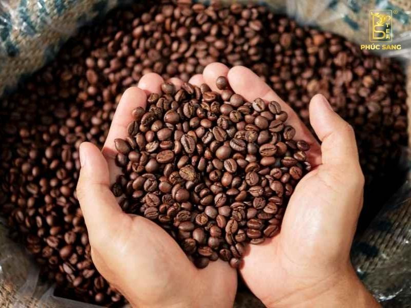 Quy trình để sản xuất cà phê mộc